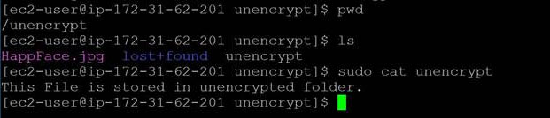 Unencrypted Data.JPG