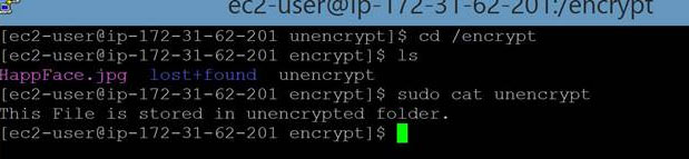 Encrypted ebs volume