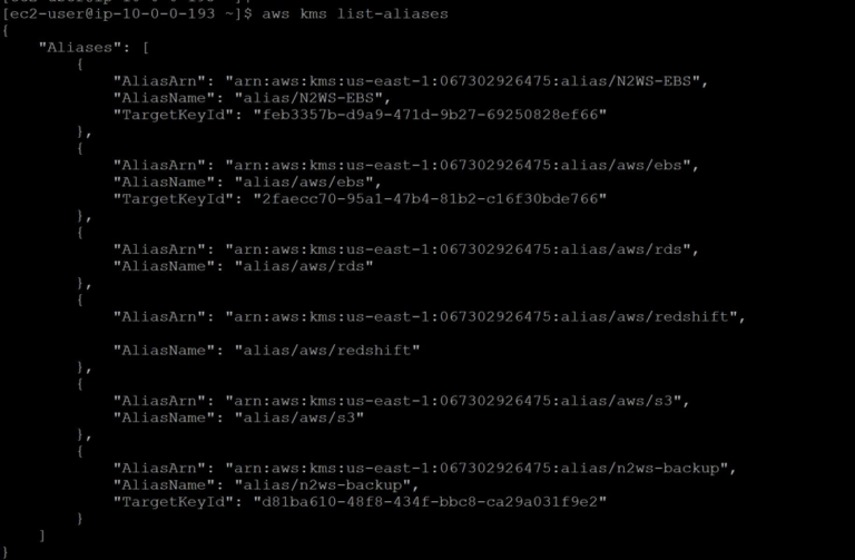 How To Copy Encrypted AWS EBS Snapshots Across Accounts N2WS