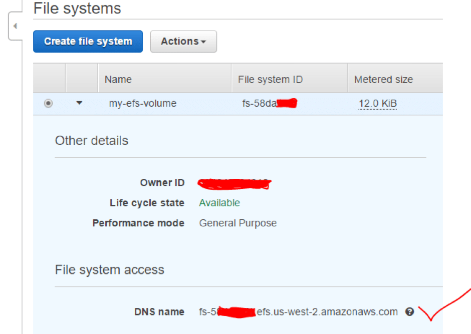 You will need an EFS DNS name to attach it to the EC2 instance.
