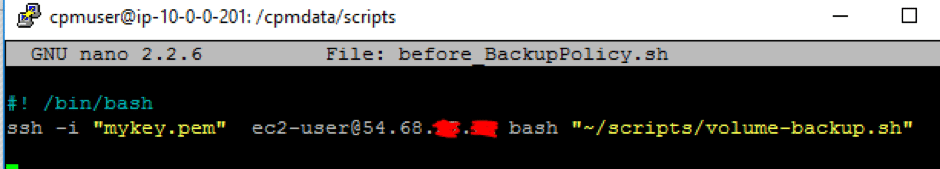 execute the volume-backup.sh script on our target AWS EC2 instance