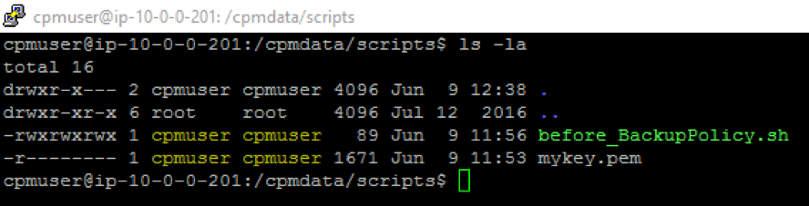 With proper permissions and file ownership, the /cpmdata/ scripts should look like this