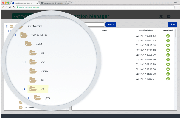 Features file-level restore
