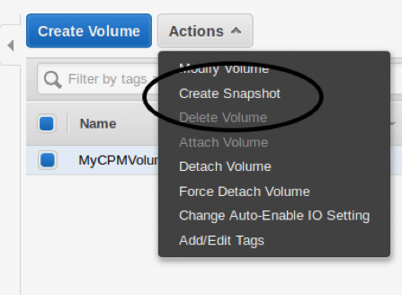 create a CPM data volume snapshot