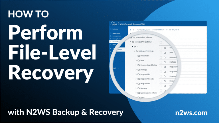 Video Thumbnail - file-level recovery