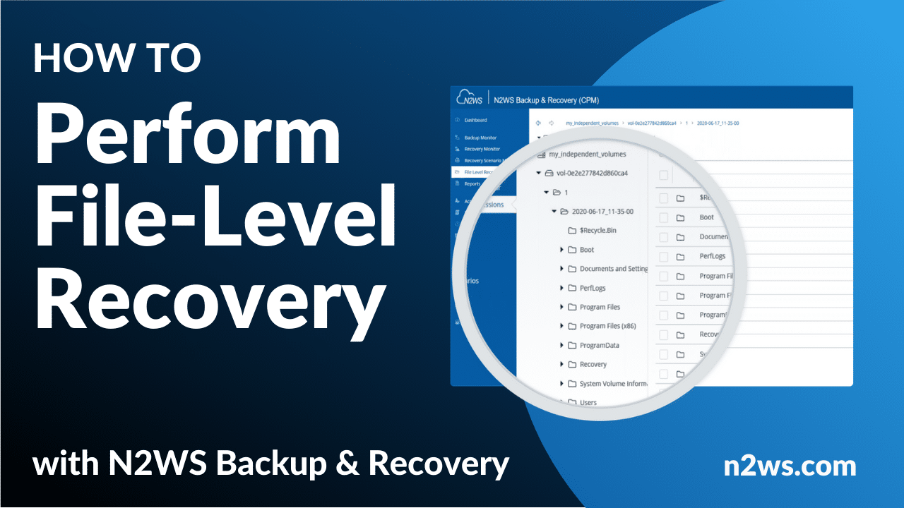 The Easiest File-Level Restore for your AWS Environment - N2W Software