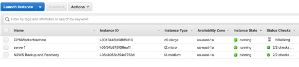 N2WS worker instance