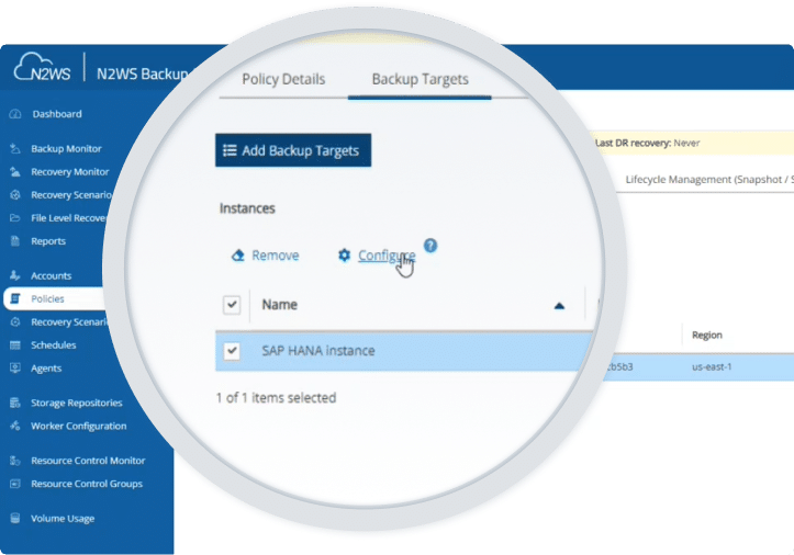 N2WS screenshot showing SAP Hana backup support