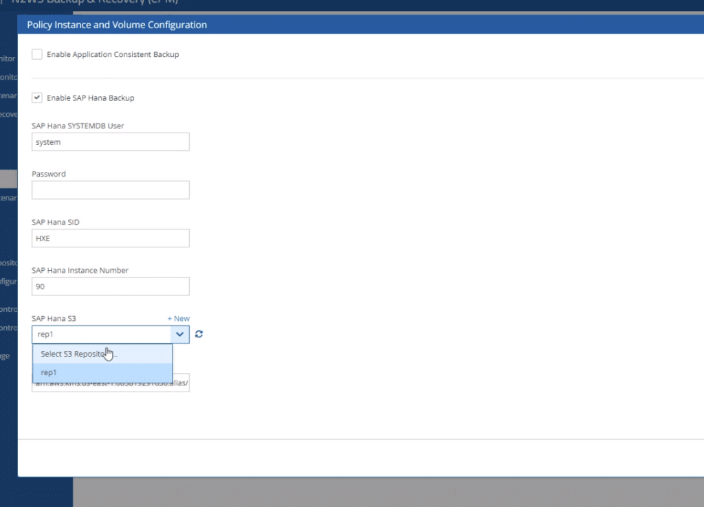 sap hana data backup configuration