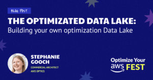 Banner that reads: The Optimized Data Lake, building your own optimization Data Lake