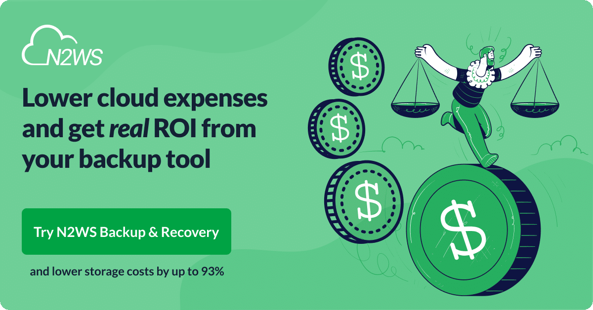 AWS Cost Optimization | N2WS™