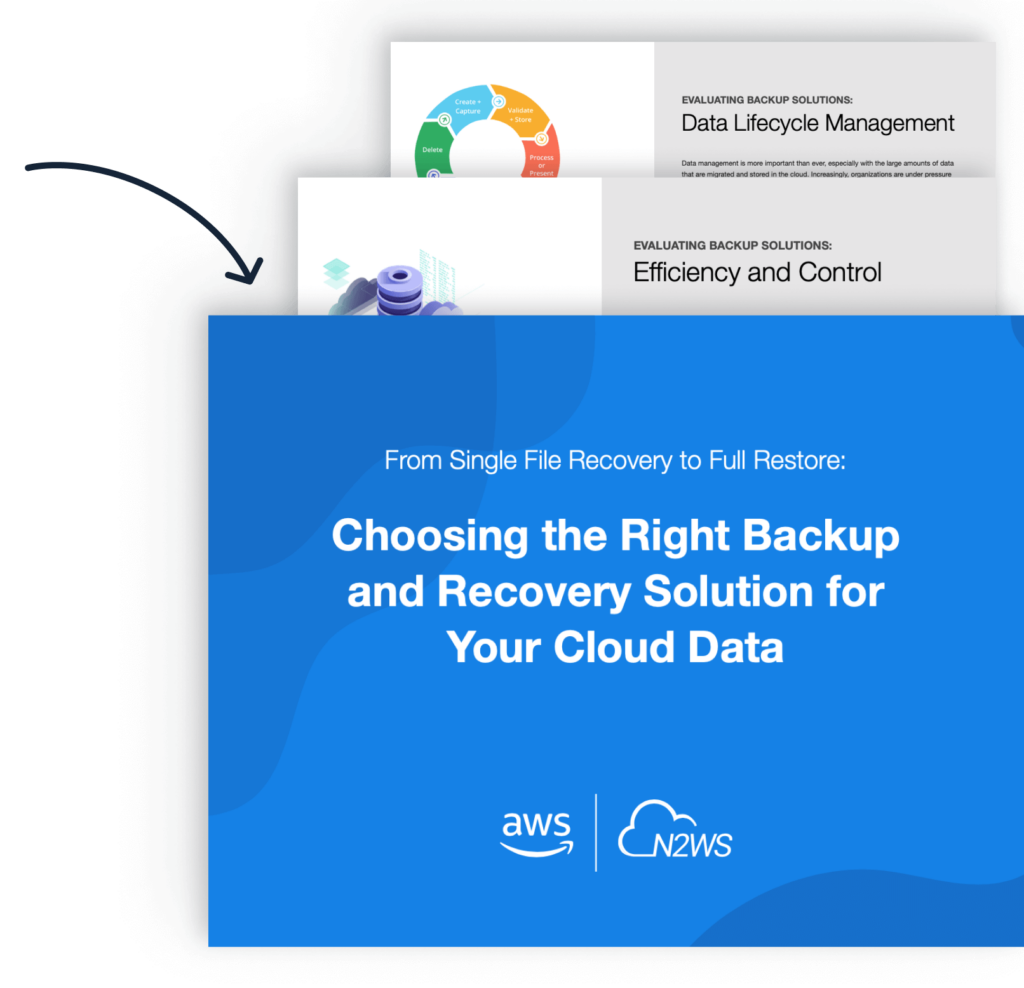 mockup of our choosing the right backup ebook