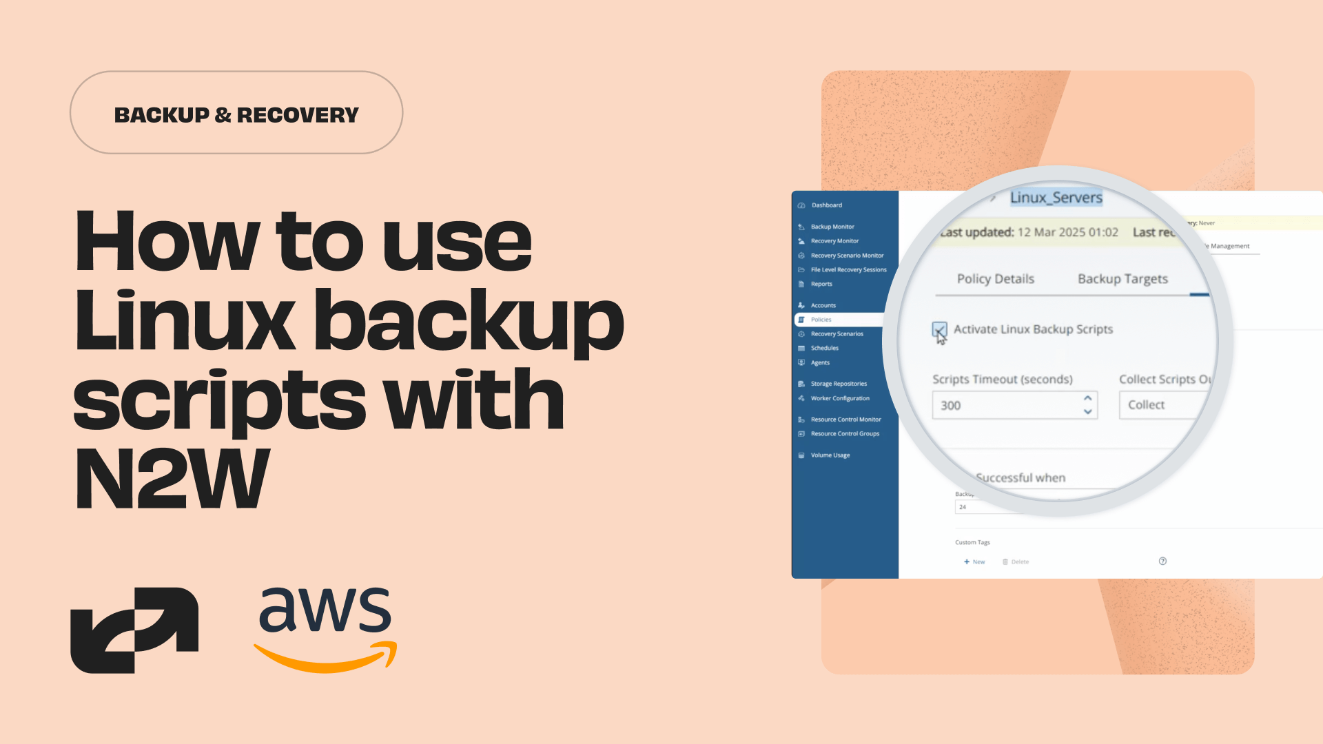 How to Run Backup Scripts on Linux Instances with N2W - N2W Software