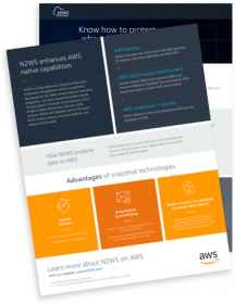 AWS and N2WS Infographic: avoid the costs of downtime